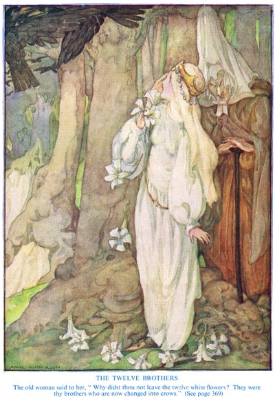 Illustration aus 
